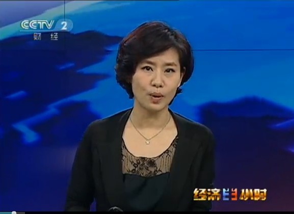 魏家福：小船企轉(zhuǎn)向新興產(chǎn)業(yè)是唯一出路