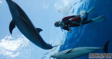 Dolphin集團(tuán)獲2份3D地震勘探合同