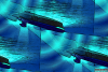 оӋ֣DARPAڷo˴ACTUVѽ(jng)_ʼ졣{늹W(xu)̳_͹W(xu)_g(sh)yˣLeidosA(y)Ӌ״ԇ 2015 (ni)MС
