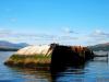 UMV Captayannis