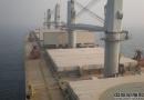 Star BulkһҺɢ؛