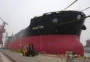 Diana Shipping@һҺɢ؛s