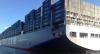 (j)Ϥ(dng)?sh)ؕrg513գӢb䴬_(d)w݆¡CMA CGM Kerguelen̖_(d)ϰDԓϰD500ˮλSCT5ԓλͼb䴬