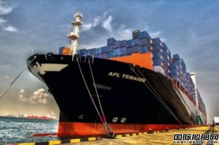 “APL Temasek”號集裝箱船撞上起重機(jī)  