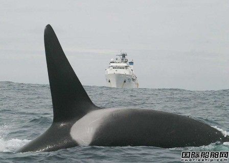 溫哥華港擬對低水下噪音船舶收費打折
