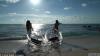 @ҹ˾Ĉ(zh)пñʾ˂?c)͸ͧϿԿڽ?jng)^ʲô