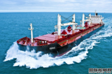 Eagle Bulkُɢ؛