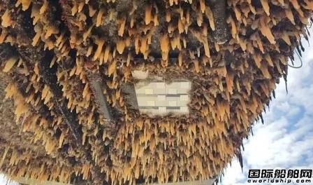 紫外線可清除附著在船體上的海洋生物