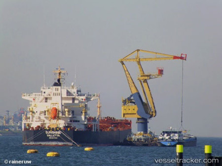 ST Shipping租用戴安娜航運(yùn)旗下散貨船