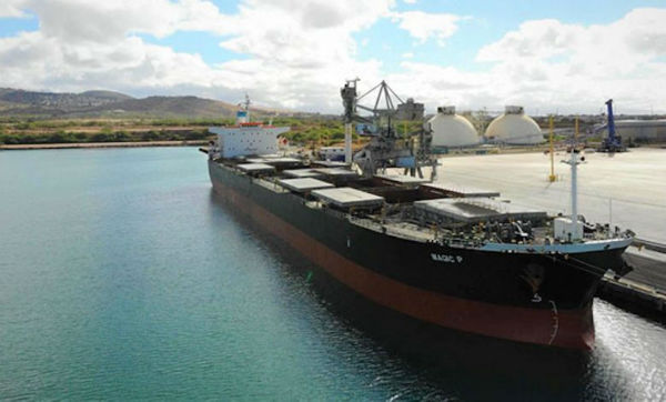 Castor Maritime再添一艘Kamsarmax型散貨船