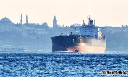 ʿ(sh)֌GungenṩVessel Insight