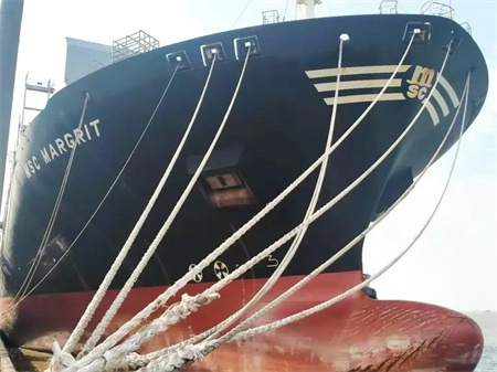 上海中遠(yuǎn)海運重工完成“MSC MARGRIT”輪脫硫改裝獲船東贊譽