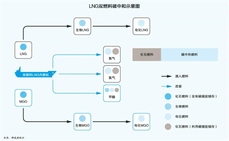 新造船如何減排？班輪公司面臨關鍵抉擇