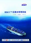BSKYdˮϵy(tng) oa{ӹɷ޹˾