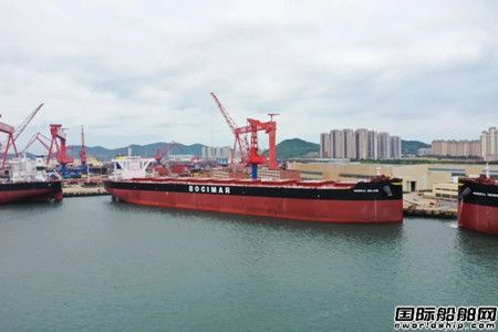 總計24艘！北海造船再獲CMB兩艘氨燃料散貨船訂單