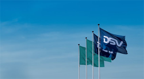 DSVُ(gu)DB Schenkerf(xi)h
