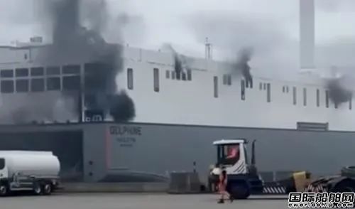 又是電動(dòng)車“惹禍”？全球最大近海滾裝船起火