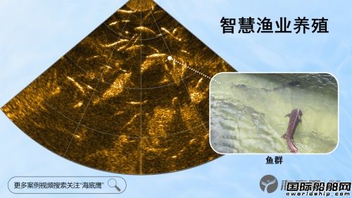 海底鷹國(guó)產(chǎn)第三代前視聲納煥新發(fā)布