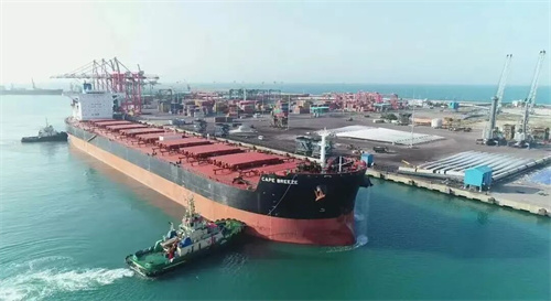 âFVǰ䴬Pioneer Bulkٶُ